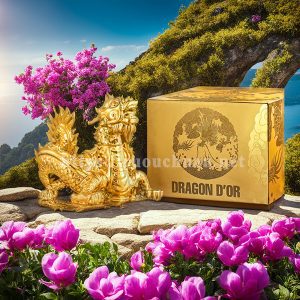 Rượu Dragon Dor Brandy XO Extra Elegance